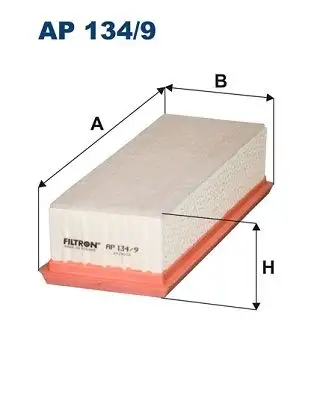 FILTRON AP134/9 Hava Filtresi 165464064R
