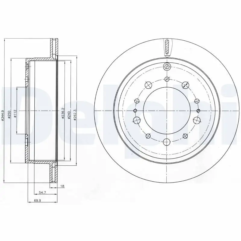 DELPHI BG4275 Arka Fren Diski 424310C011