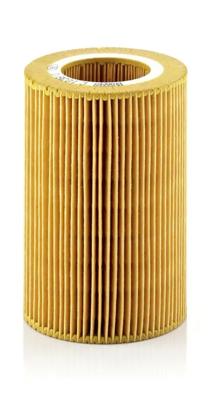 MANN C1036/1 Hava Filtresi