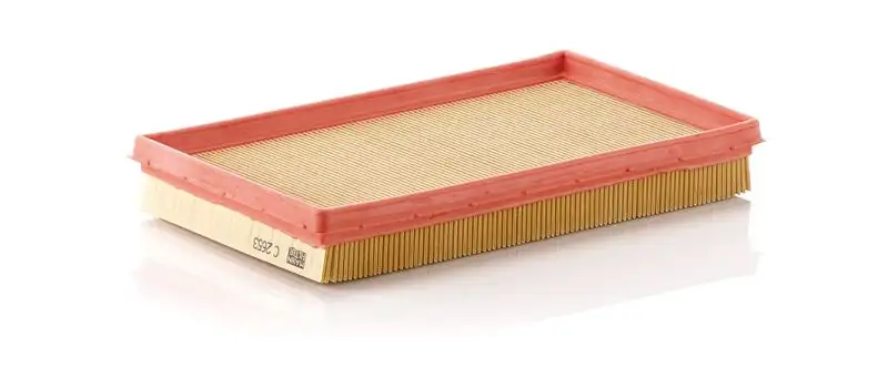 MANN C2653 Hava Filtresi 1378086G00000