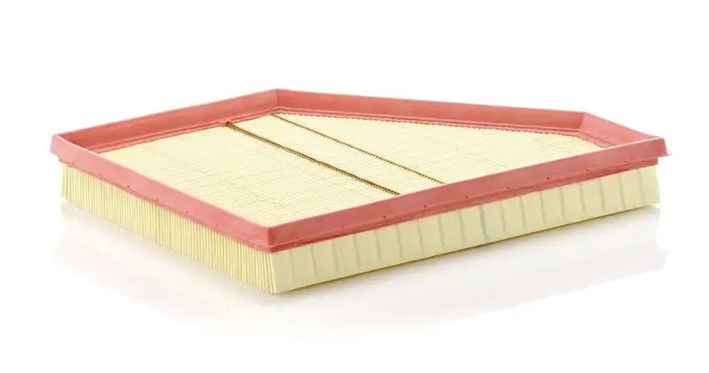 MANN C3090/1 Hava Filtresi 13717548898