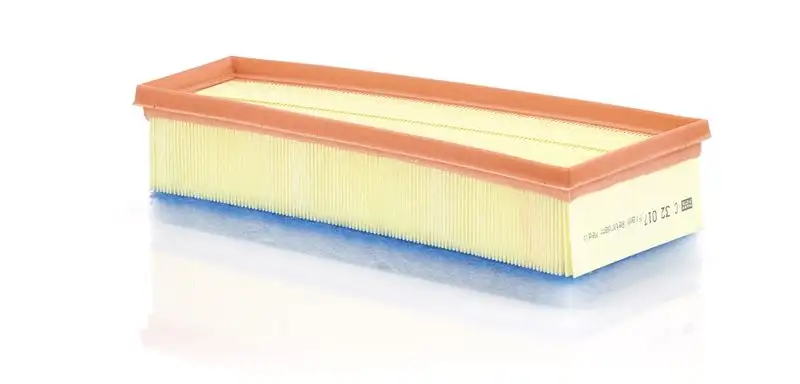 MANN C32017 Hava Filtresi A1770940100