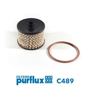 PURFLUX C489 Yakıt Filtresi