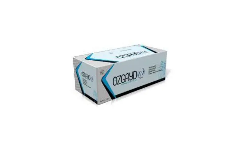 ÖZGAYD CH11-004 Silindir Kapağı 0200EH