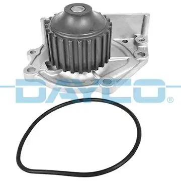 DAYCO DP021 Devirdaim
