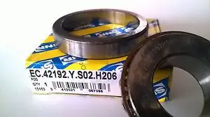 SNR EC42192YS02H206 Şanzıman Rulmanı