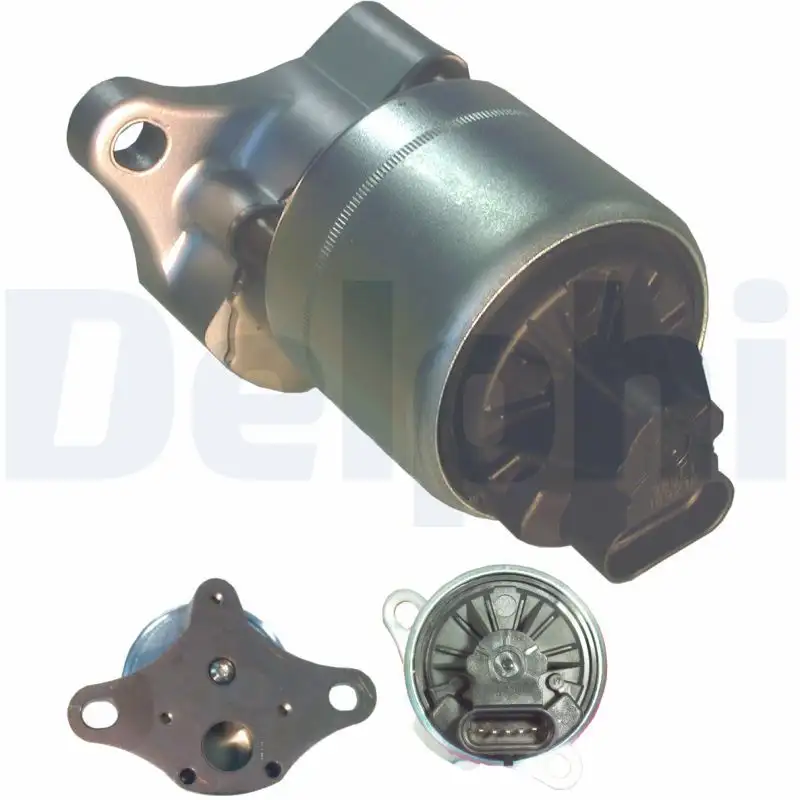 DELPHI EG10006-12B1 EGR Valfi