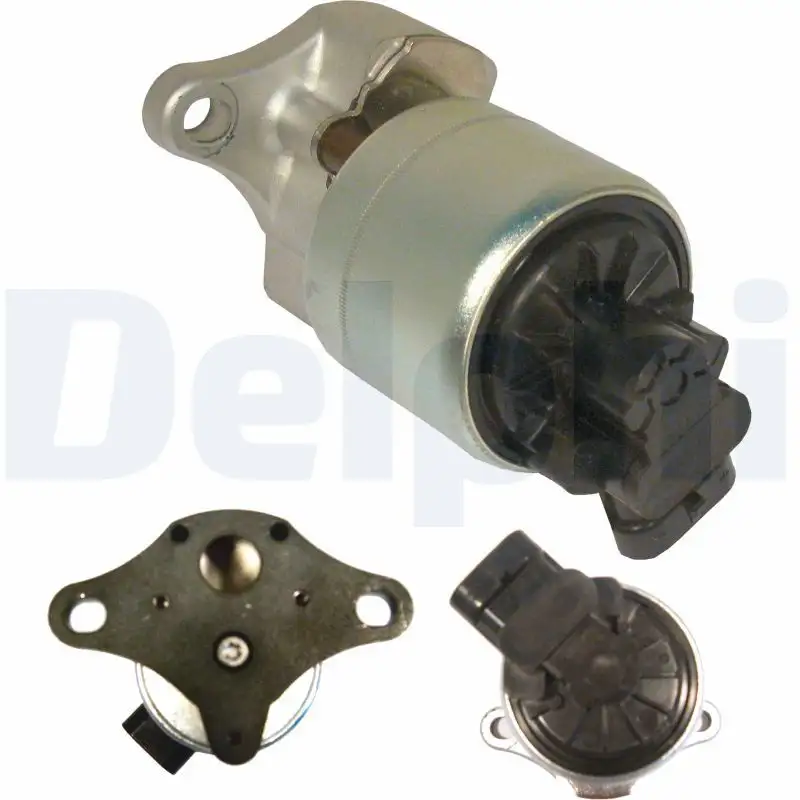 DELPHI EG10256-12B1 EGR Valfi 9628355780