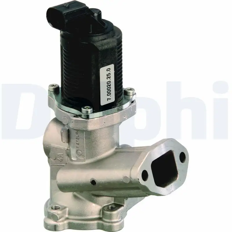DELPHI EG10258-12B1 EGR Valfi