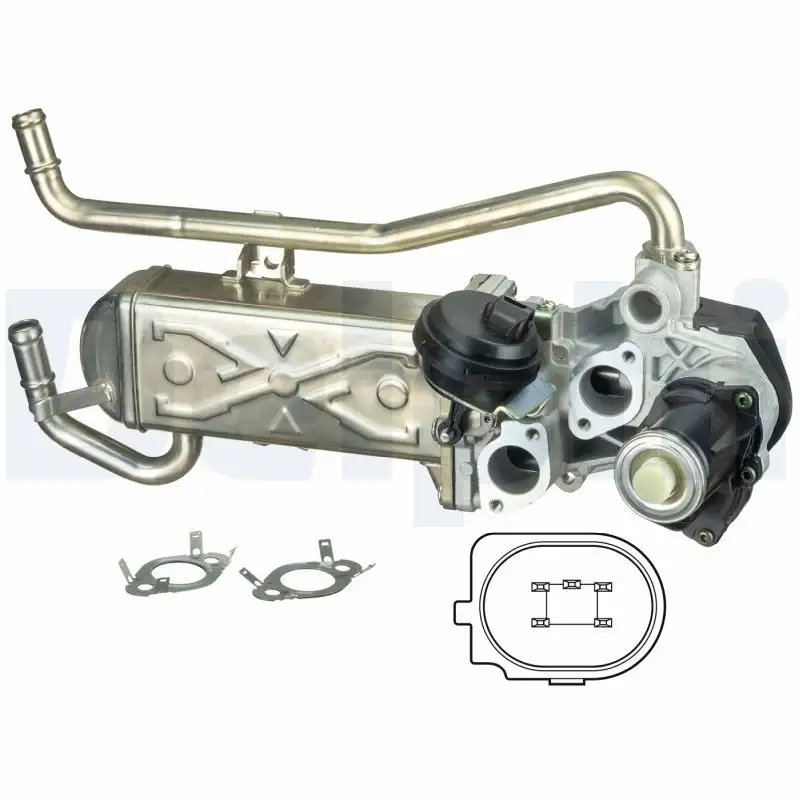 DELPHI EG10432-12B1 EGR Valfi