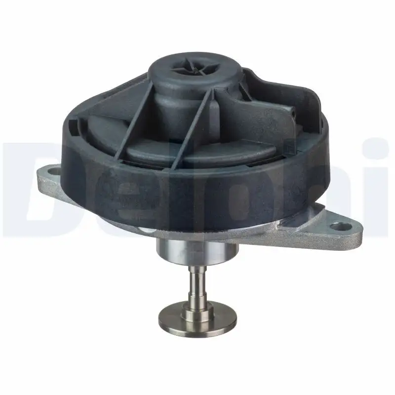 DELPHI EG10444-12B1 EGR Valfi