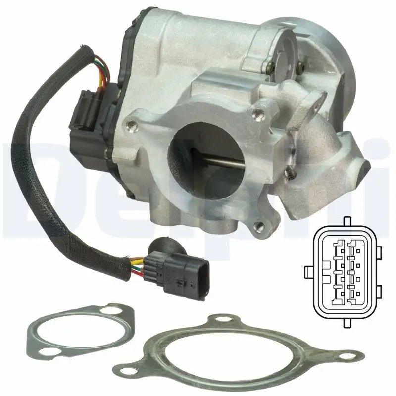 DELPHI EG10495-12B1 EGR Valfi 7701210269
