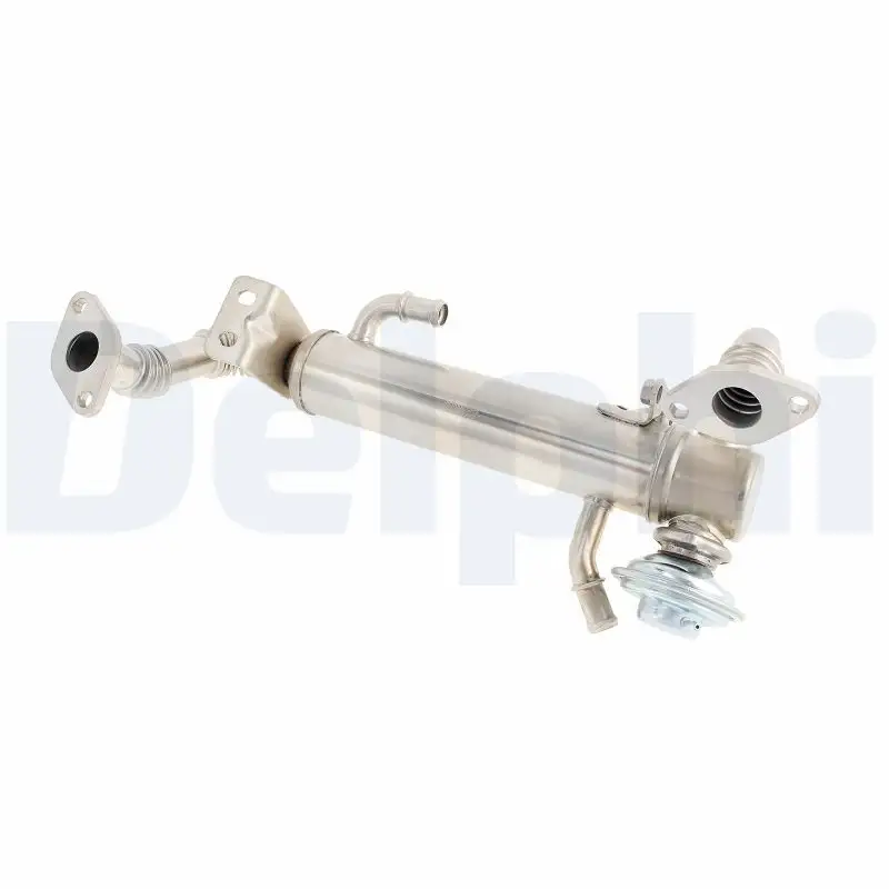 DELPHI EG10582-12B1 EGR Valfi 504178568