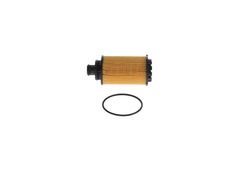 BOSCH F026407214 Yağ Filtresi 650212