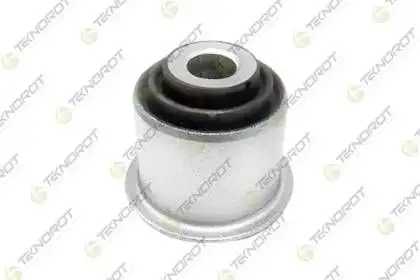 TEKNOROT FD-BS252 Salıncak Burcu