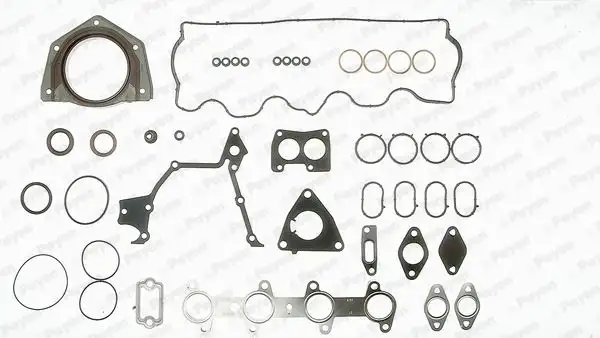 PAYEN GZ790 Motor Takım Conta (Alt ve Üst) 71715698