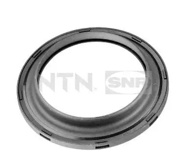 SNR M255.07 Ön Amortisör Rulmanı 7700424481