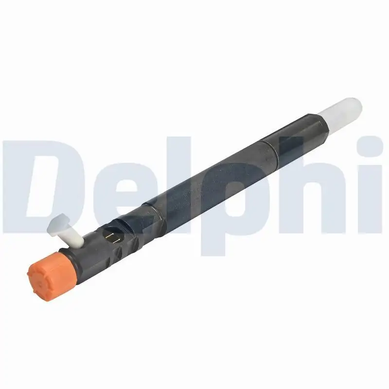 DELPHI R04501D-12B1 Enjektör A6640170121