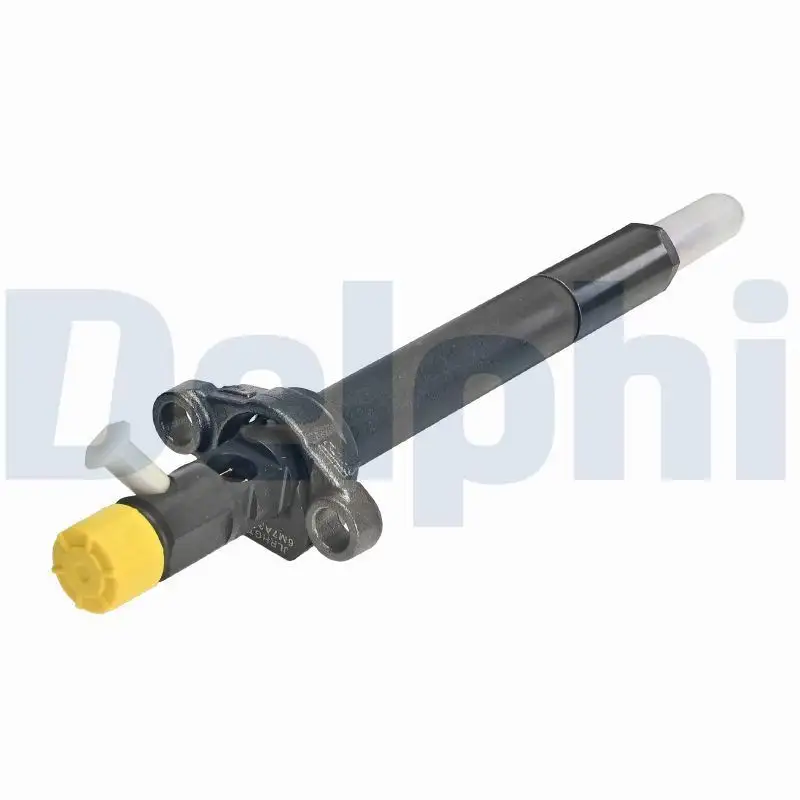 DELPHI R06001D-12B1 Enjektör