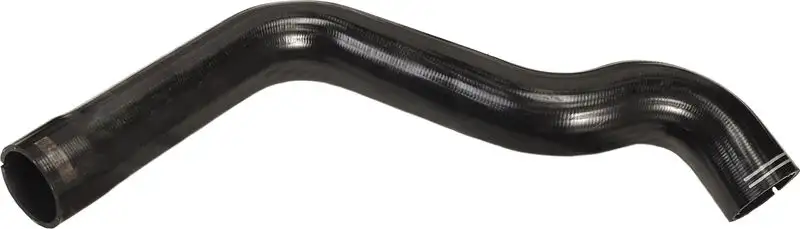 RAPRO R11509 Turbo Hortumu 1350778080