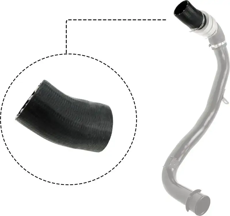 RAPRO R11665 Turbo Hortumu