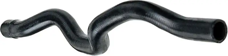 RAPRO R12157 Kalorifer Hortumu 7700413938