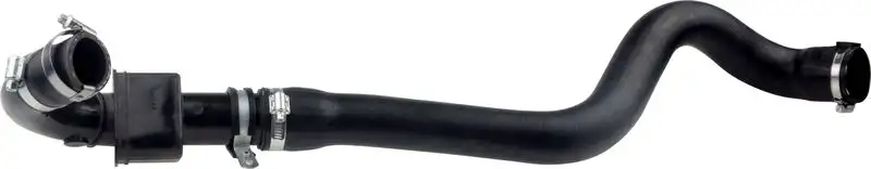 RAPRO R12415 Turbo Hortumu 8200384940