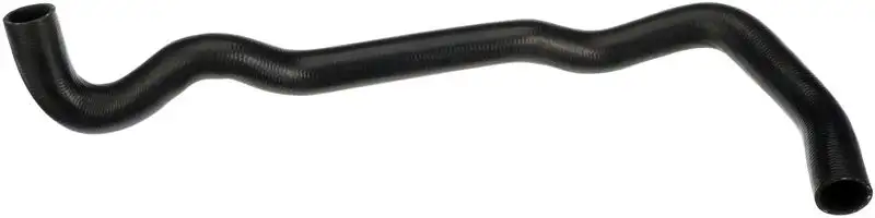 RAPRO R12717 Radyatör Alt Hortumu 215038651R