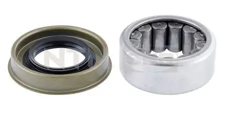 SNR R141.34 Arka Aks Rulmanı 4552765