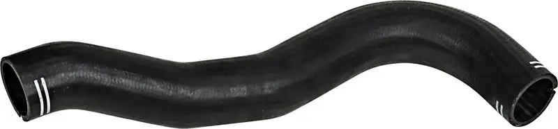 RAPRO R15363 Turbo Hortumu 1307121080