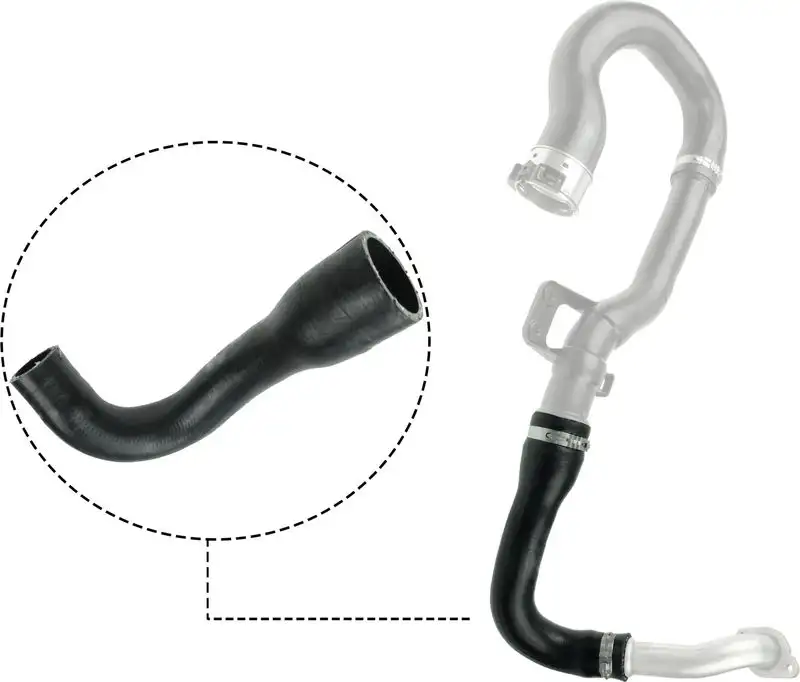 RAPRO R18352 Turbo Hortumu 5860549