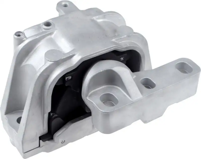 RAPRO R54257 Motor Takozu (Sağ)
