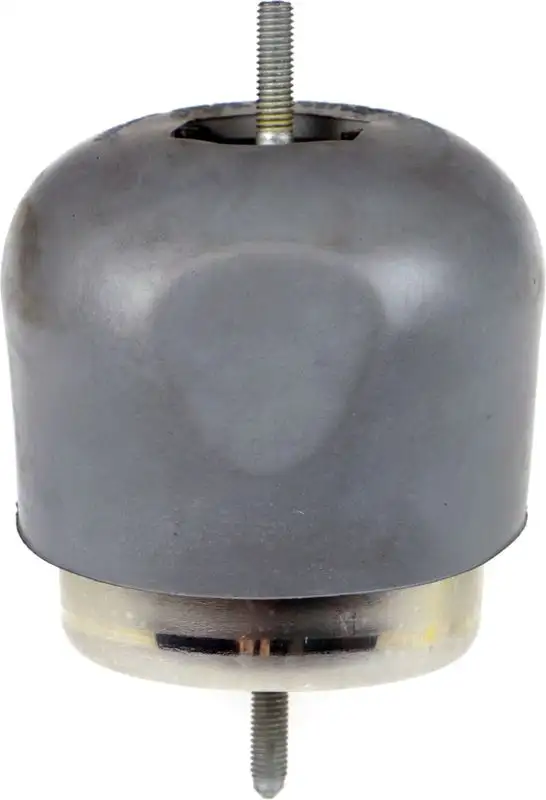 RAPRO R54521 Motor Takozu (Sağ)