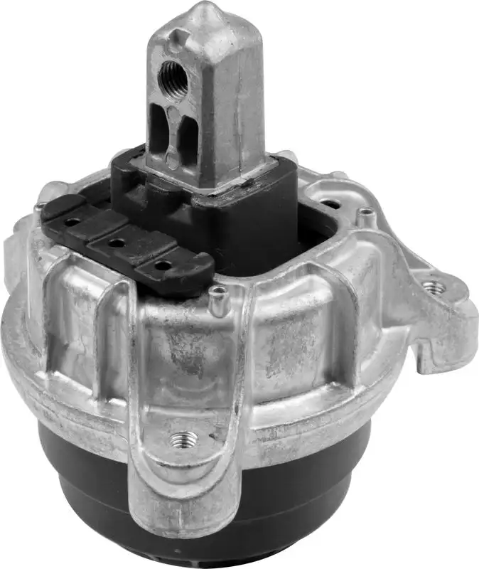 RAPRO R54779 Motor Takozu (Sağ) 22116858976