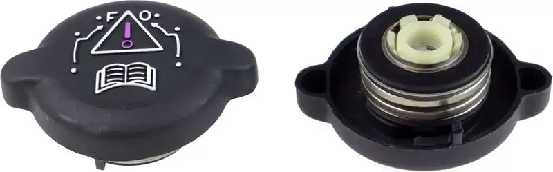 RAPRO R66118 Yedek Su Depo Kapağı