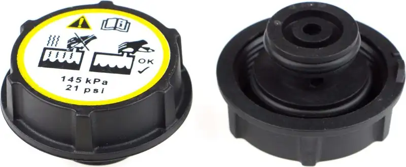 RAPRO R66125 Yedek Su Depo Kapağı