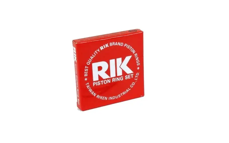 RIKEN RE15030050 Motor Segmanı (0.50)