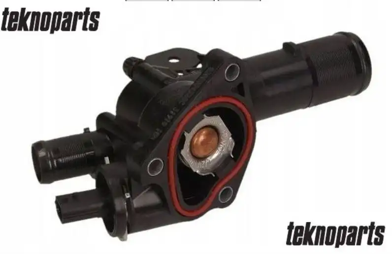 TKN RN-TRM-001 Termostat 110605536R