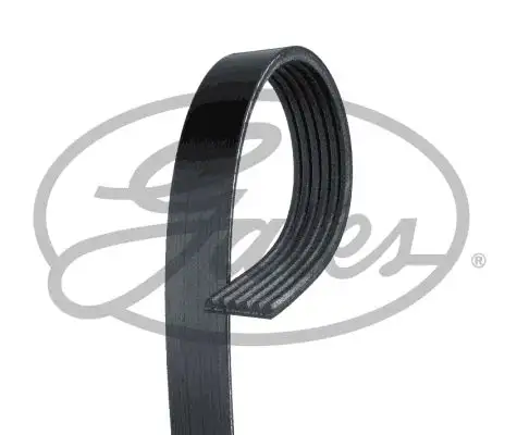 GATES ROADMAX 1078K6 Kayış