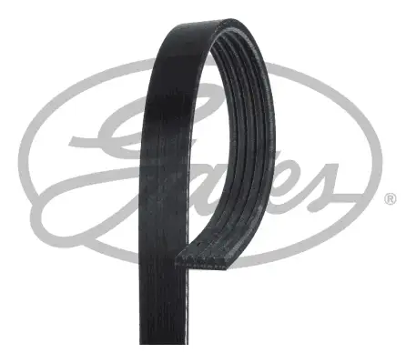 GATES ROADMAX 1545K5 Kayış