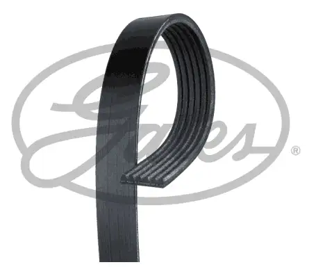 GATES ROADMAX 1795K6 Kayış