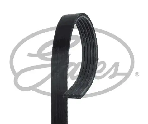 GATES ROADMAX 1815K5 Kayış