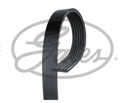 GATES ROADMAX 975K6 Kayış