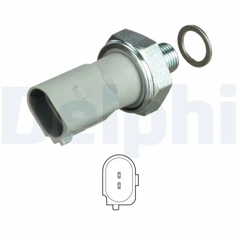 DELPHI SW90060 Yağ Müşiri 059919081H