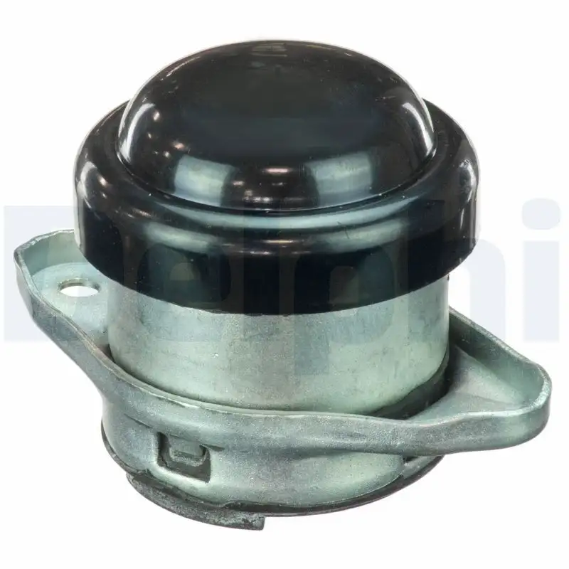 DELPHI TEM077 Motor Takozu (Sağ) 184458