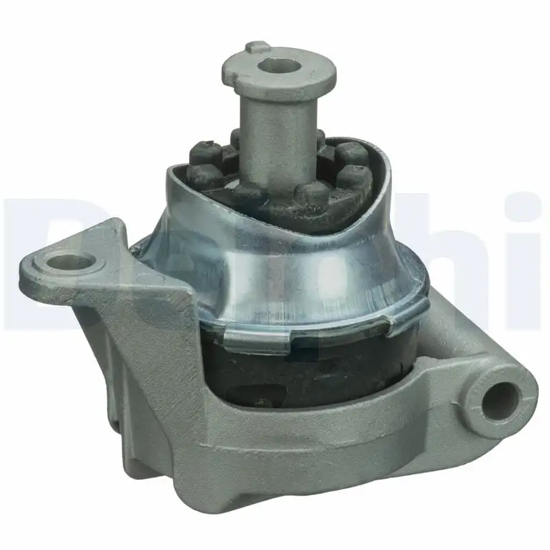 DELPHI TEM090 Motor Takozu (Arka)