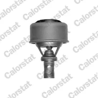 CALORSTAT VERNET TH4495.75 Termostat
