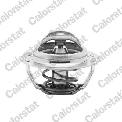 CALORSTAT VERNET TH4885.89J Termostat