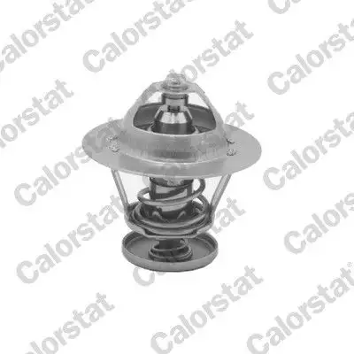 CALORSTAT VERNET TH5077.88J Termostat
