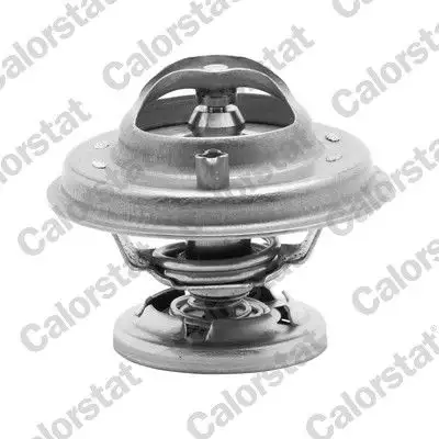 CALORSTAT VERNET TH5699.80J Termostat